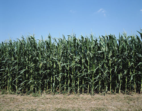 Doubt me? Take a drive down Iowa's stretch of I-80.