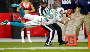 Brian Hartline stretches for an 80-yard score.