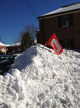 Can't no Nor'easter keep the Buckeye flag down