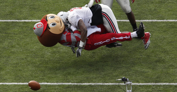 David Perkins destroys Brutus Buckeye