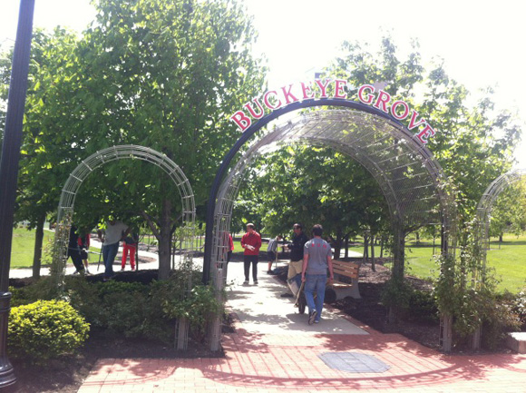 Gray Team clearing mulch