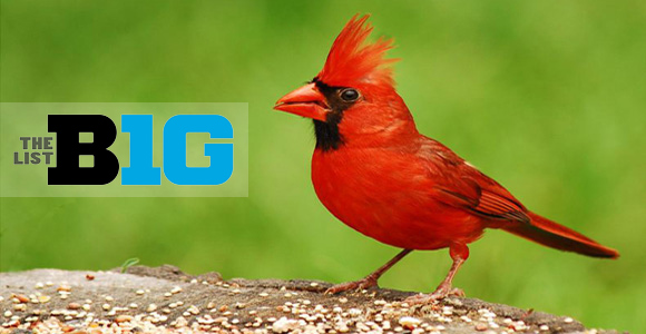 The B1G List: State Birds of the Big Ten