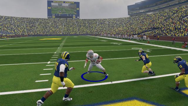 Michigan fans don't even show up in video games
