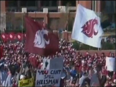 The Cougar Flag