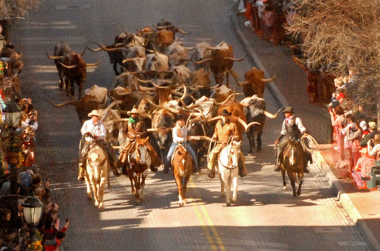 The Longhorns could be headed south