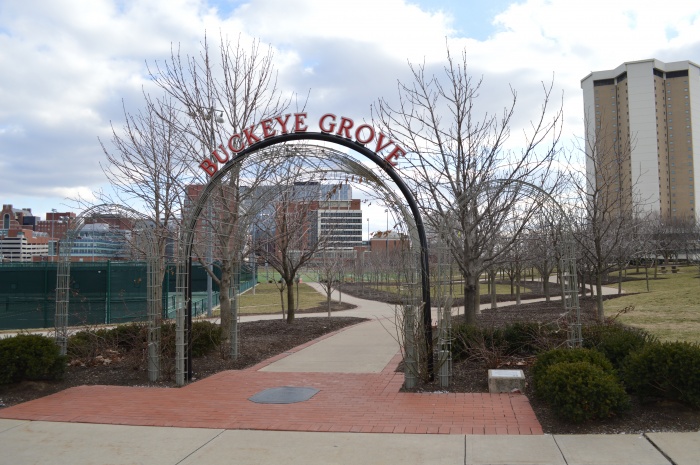 Even a drearier Buckeye Grove is welcome in the fall. Even a drearier Buckeye Grove is welcome in the fall.