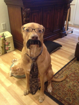 Bark bark woof woof Bark bark woof woof