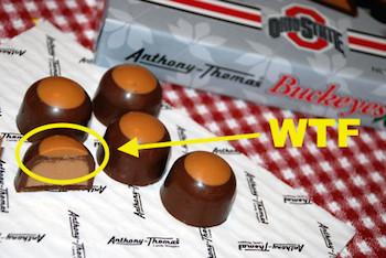 these are total bullshit these are total bullshit