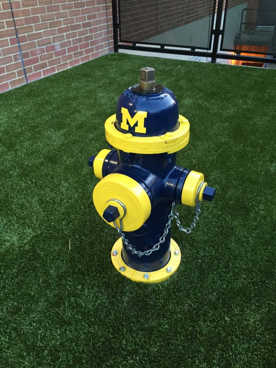 The Michigan fire hydrant in the dog-walking area at Ohio State's College of Veterinary Medicine