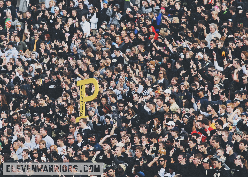 Purdue fans Purdue fans