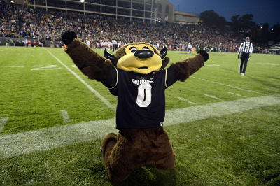 	Nov 19, 2016; Boulder, CO, USA; Colorado Buffaloes mascot Chip reacts following a turnover fourth quarter against the Washington State Cougars at Folsom Field. The Buffaloes defeated the Cougars 38-24. Mandatory Credit: Ron Chenoy-USA TODAY Sports