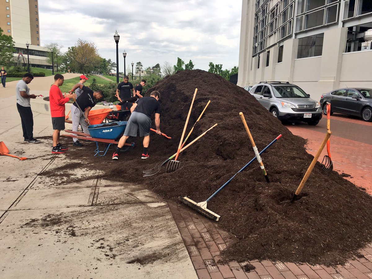Move that mulch, move that mulch Move that mulch, move that mulch
