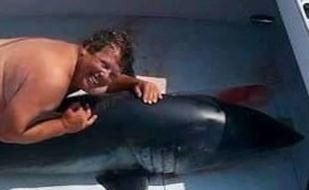 Jim McElwain denies being the nude man humping a dead shark.