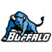 Buffalo