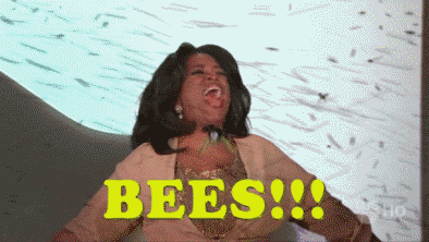 BEEEEEEEEEEEEEEEEEEEEEEESSSSSSSSSSS BEEEEEEEEEEEEEEEEEEEEEEESSSSSSSSSSS