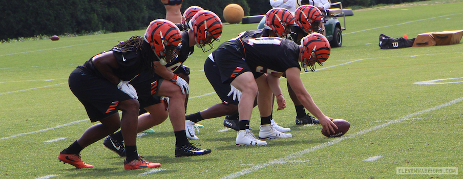 Nick Seme long snapping during a drill at Cincinnati Bengals rookie minicamp