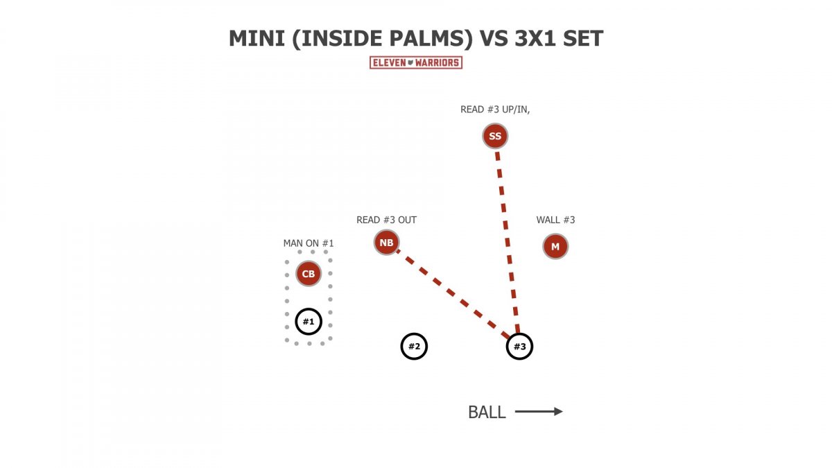 Ohio State Mini/Inside-Palms