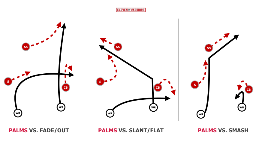 Basic 'Palms' Coverage