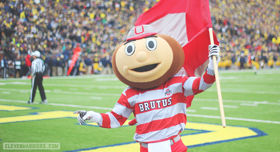 Could any Big Ten mascot beat Ohio State's Brutus Buckeye in a fight? -  Land-Grant Holy Land