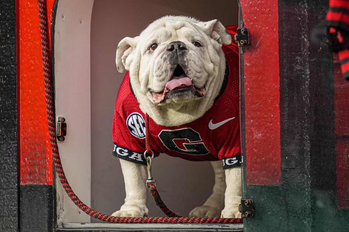 Uga X, mascot of the Georgia Bulldogs