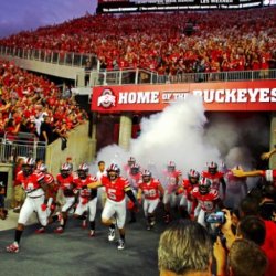 Cincinnati Buckeye's picture