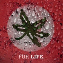 ScriptOhio3's picture