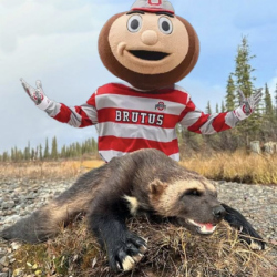 troyciceronotsmith's picture