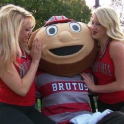 Brutus Buckeye's picture