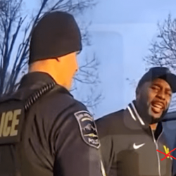 SuaveOlave's picture