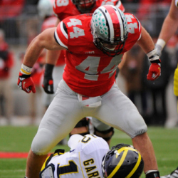 Garbage Dog's picture