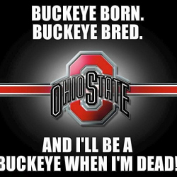 THEbuckeyelife's picture