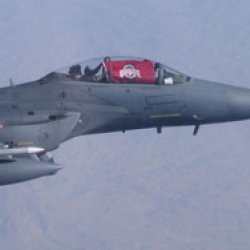 Buckifan4Life's picture