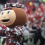 Brutus Buckeye