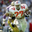 Eddie George