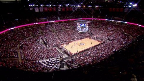 The Schott