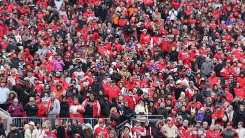 fans at saturday's celebration