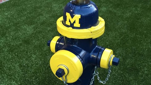 Michigan fire hydrant in the dog-walking area at Ohio State's College of Veterinary Medicine