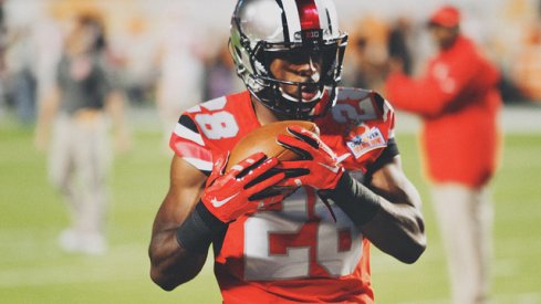 Warren Ball