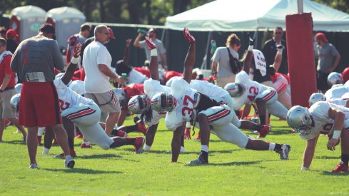 Ohio State is expected to repeat as Big Ten champions in 2015.