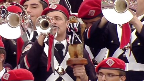 Scarlet the squirrel, mascot of TBDBITL's S Row