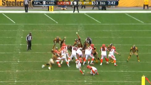 Cam Heyward terrorizing the NFL in a different manner.