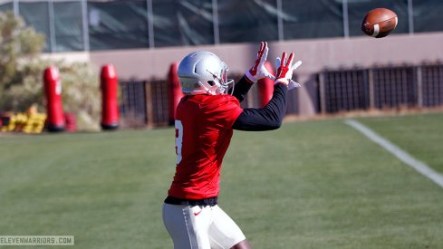 Ohio State will be facing a depleted Notre Dame secondary in the Fiesta Bowl.