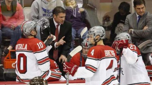 Steve Rohlik mans the Ohio State bench for a third season.