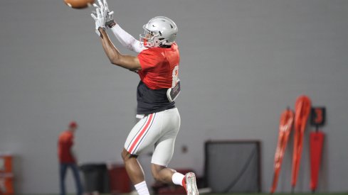 Torrance Gibson could be one of Ohio State's breakout stars during the spring game.