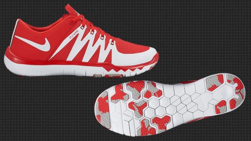2016 Ohio State Buckeyes Nike Game Trainer 5.0 Shoes