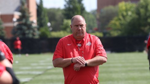 Greg Studrawa is in his first season with Ohio State. 