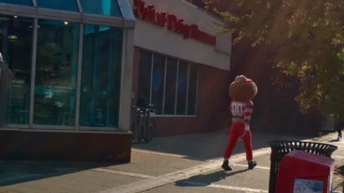 Brutus walking south past 12th Ave on High Street.