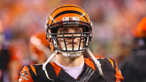 Former Ohio State and Cincinnati Bengals LB A.J. Hawk.