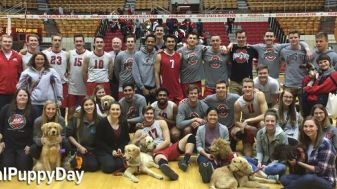 National Puppy Day with the Ohio State men's volleyball team.