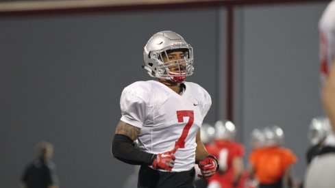 Safety Damon Webb during one of Ohio State's spring practices. 